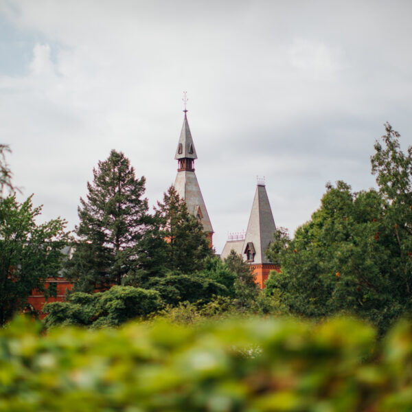 Common Application Essay Summer Bootcamps