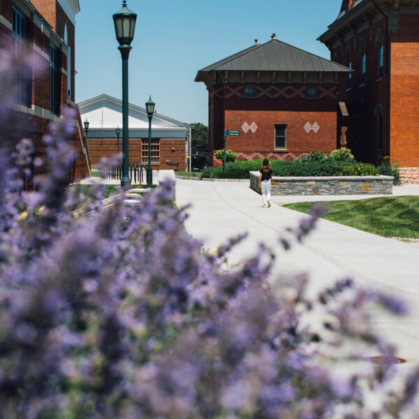 IECA Baltimore Conference Reflections