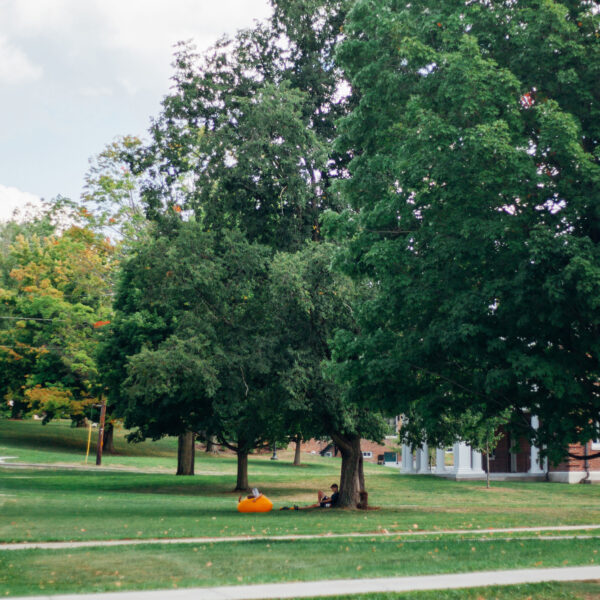 Jameel Clinic AI & Health High School Summer Bootcamp